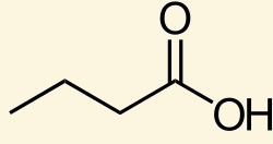 <p><span>Identify the </span><strong>α-carbon</strong></p>