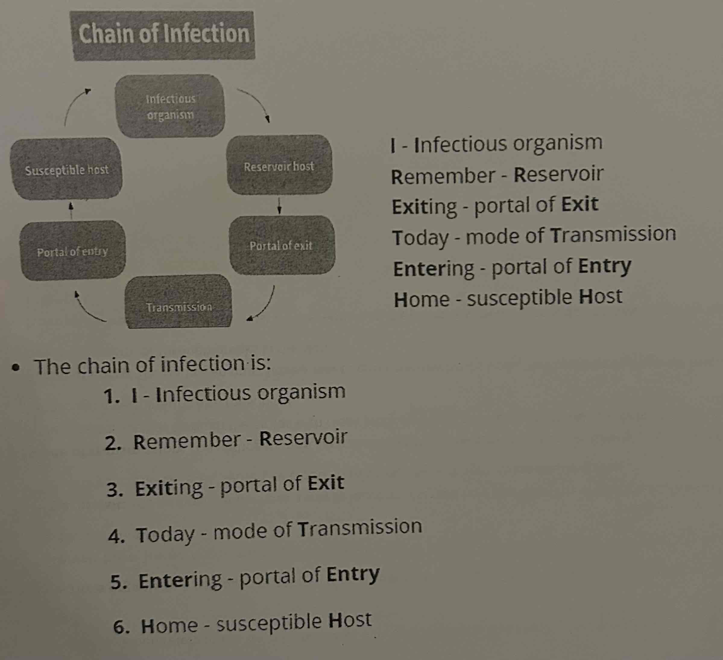 knowt flashcard image