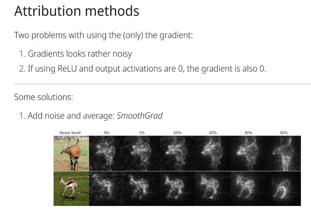 <p>Add noise and average to smooth the gradient (SmoothGrad)</p>