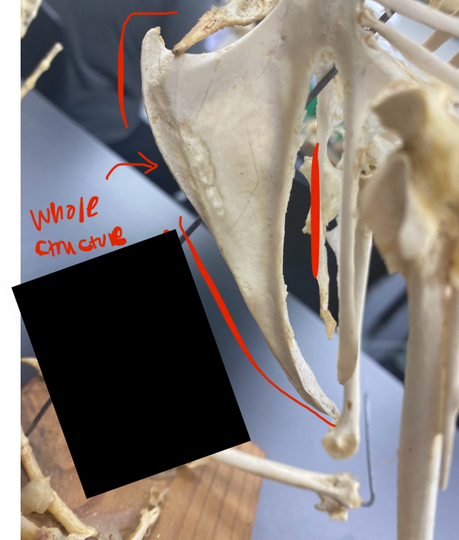 <p>What part is this </p>