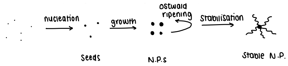 <p>Nucleation</p><p>Growth</p><p>Ostwald ripening</p><p>Agglomeration/stabilisation</p>