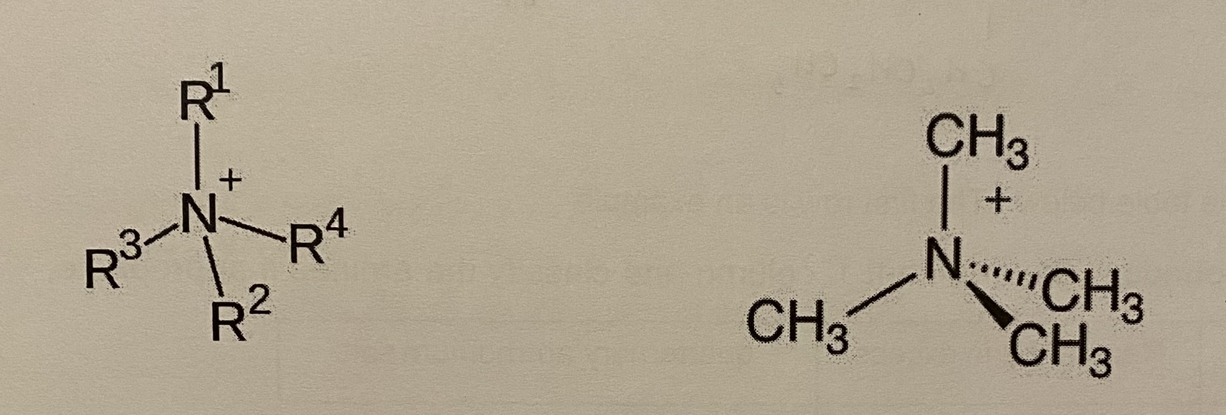 <ul><li><p>the R groups are carbon chains → they are likely to be the same but can be different </p></li></ul><p></p>