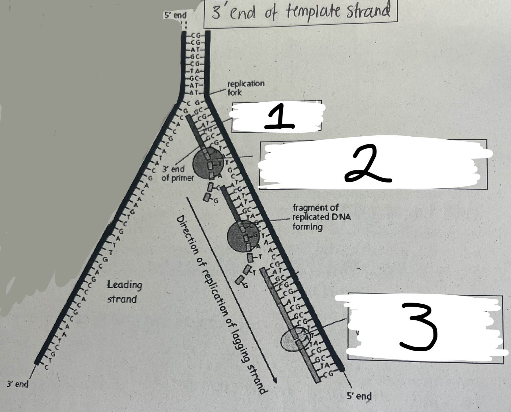 <p>Name boxes 1, 2 and 3 </p>