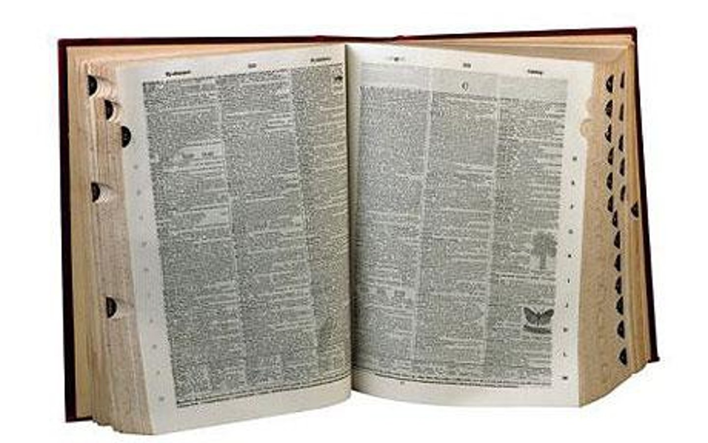 <p>The dictionary meaning of a word</p>