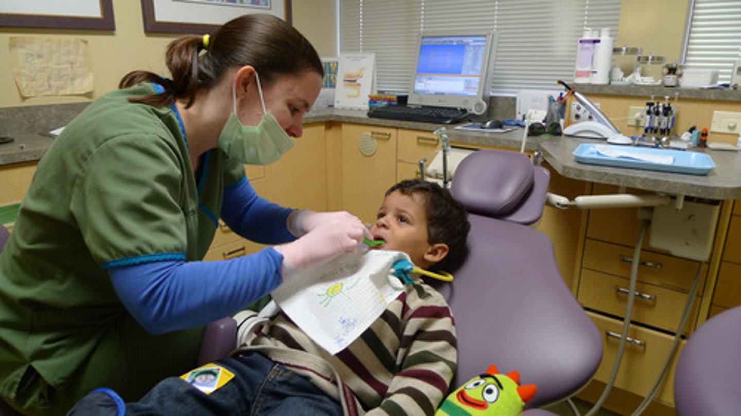 <p>female dentist</p>