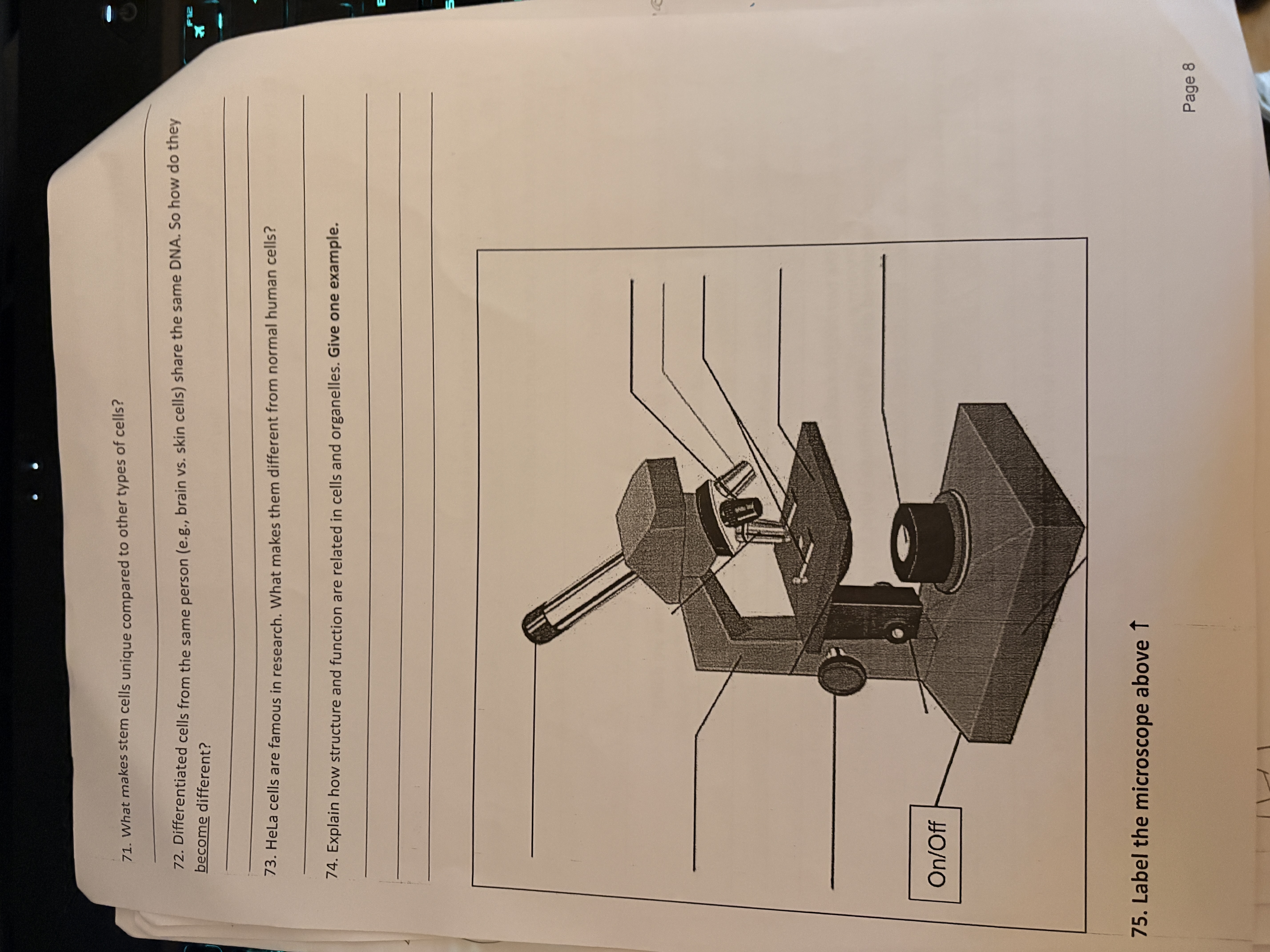 knowt flashcard image