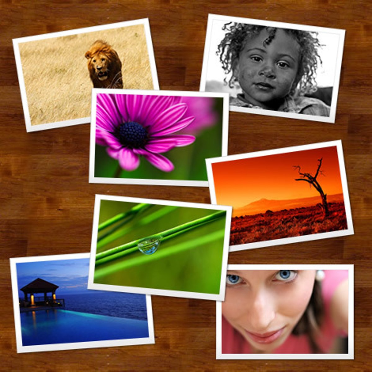 <p>pictures</p>