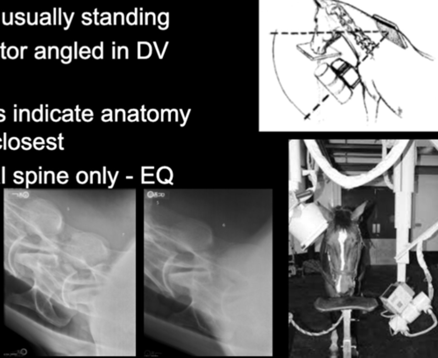 <p>• Patient usually standing</p><p>• Generator angled in DV plane</p><p>• Markers indicate anatomy that is closest</p><p>• Cervical spine only - EQ</p>