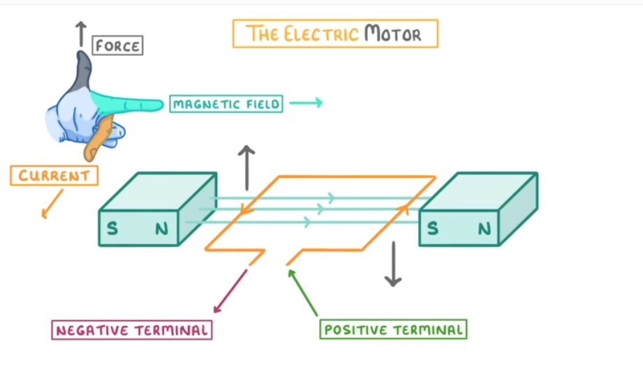 <p>When a <strong>current</strong> flows through a <strong>coil</strong> in a <strong>magnetic field</strong>, the <strong>motor effect</strong> produces <strong>opposite forces ( one acting down, the other acting upwards)</strong> on each side of the coil, making it rotate.</p>