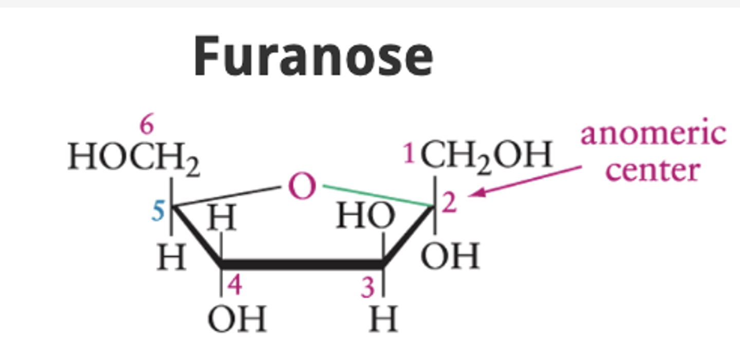 <p>A five-atom ring with an oxygen atom in the ring.</p>