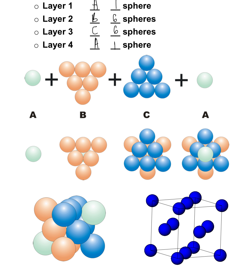 <ul><li><p>the unit cell sits with one corner on an A layer and four (ABCA ) required to complete the cell</p></li><li><p>the CCP unit cell is also Face- centred cubic (FCC)</p></li></ul>