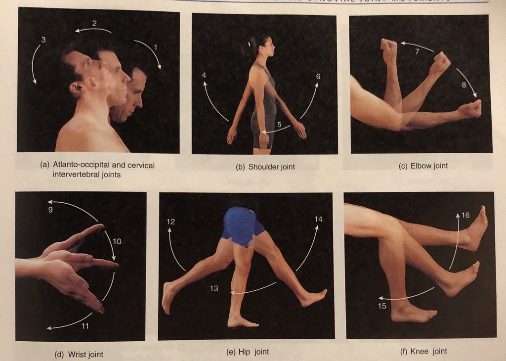  What are the joint movements for (a)?