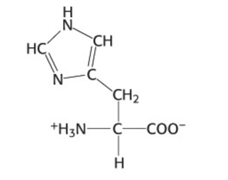 <p>Which amino acid is this</p>
