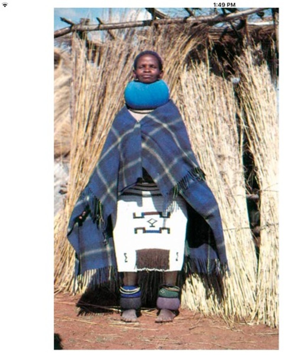 <p>A beaded version of the traditional woolen blanket (umbhalo) in South African culture.</p>