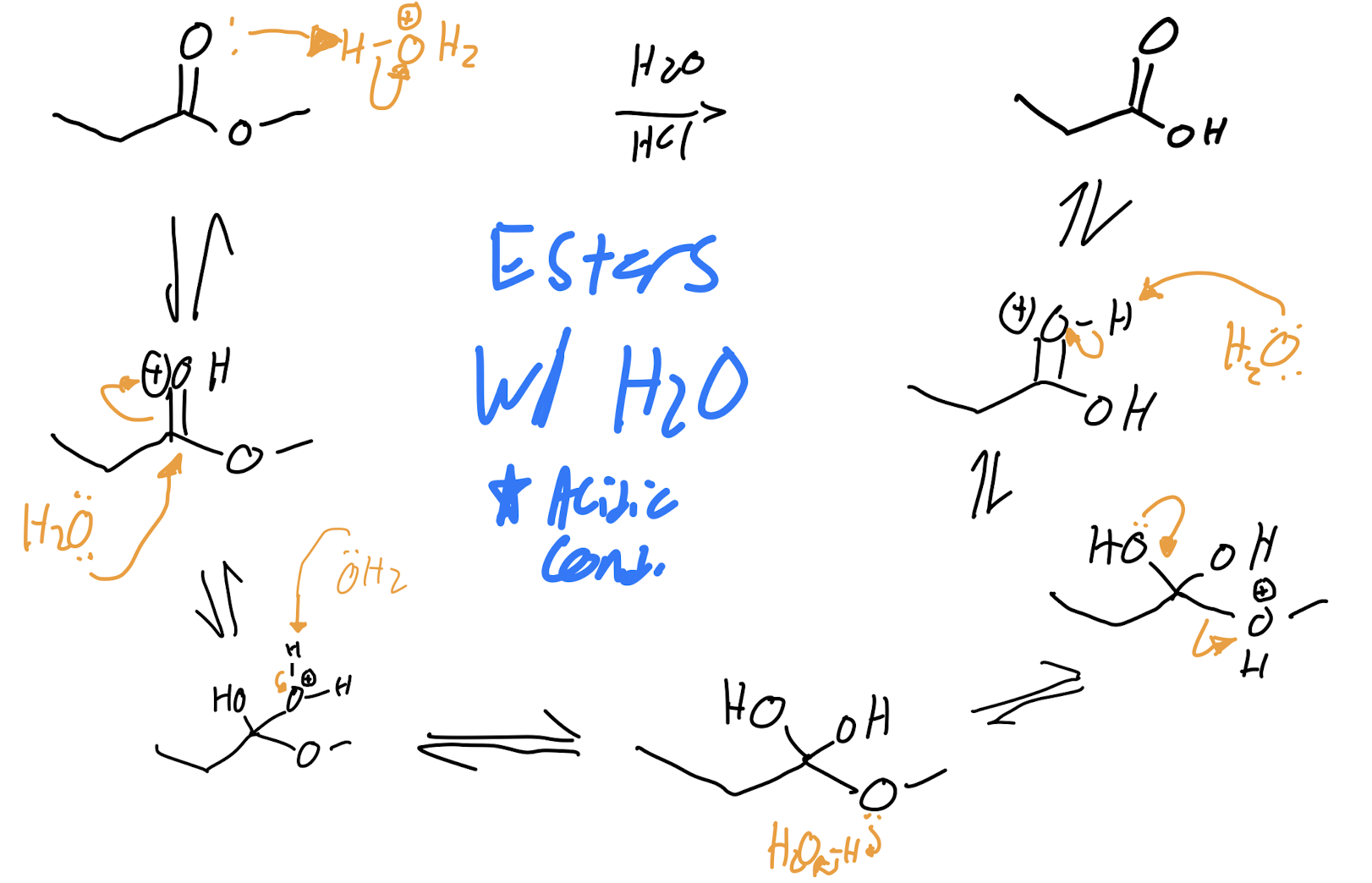 <p>Esters with H2O - Acidic Conditions</p>