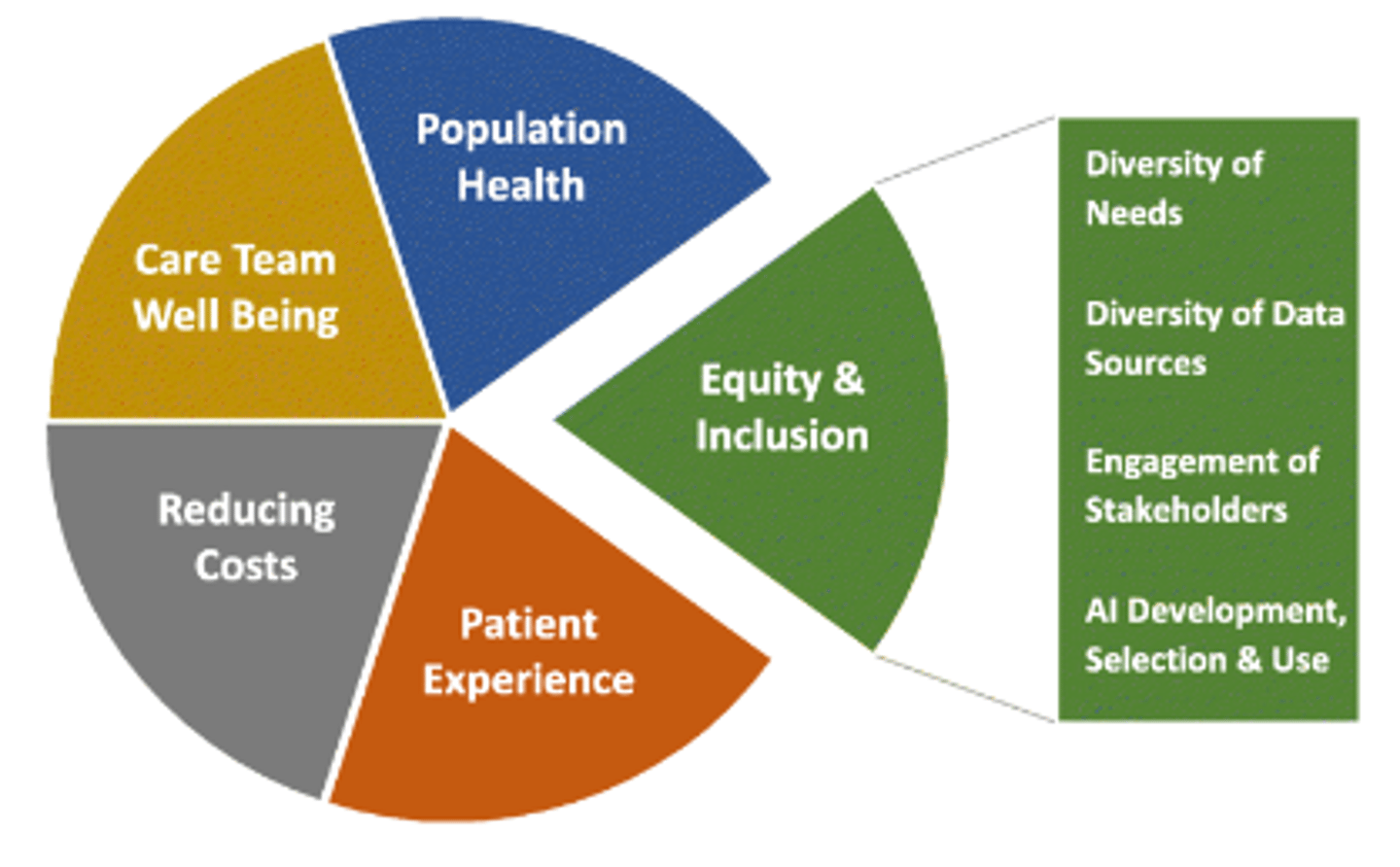 <p>1. Population health</p><p>2. Patient experience</p><p>3. Reducing health care costs</p><p>4. Care team well-being</p><p>5. Equity and inclusion (e.g. needs, data, stakeholders)</p>