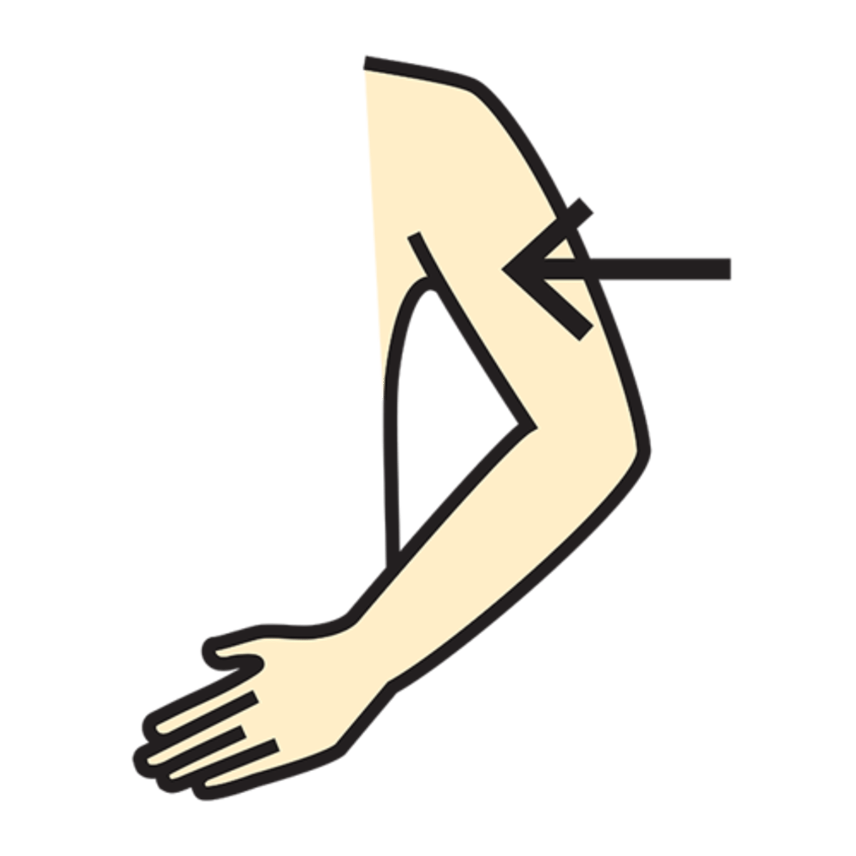 <p>upper arm</p>