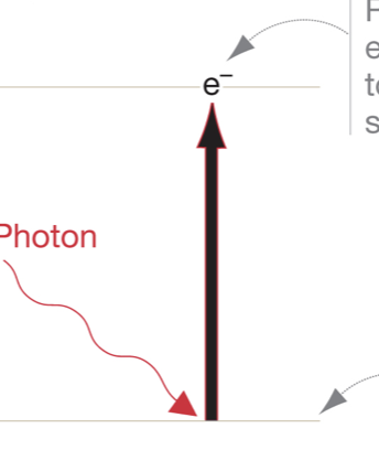 <p>Red photons bump an electron up ___ energy level.</p>