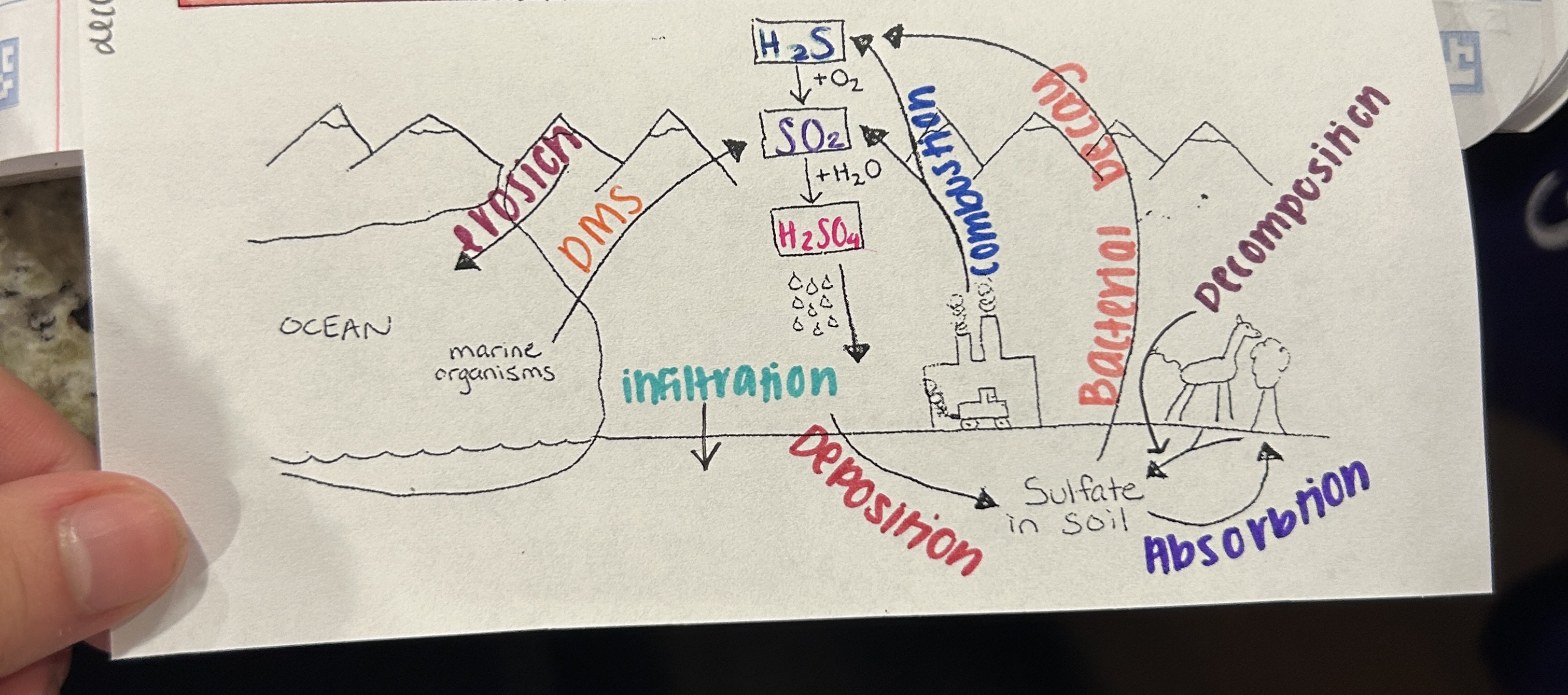 <p>Which cycle is this?</p>
