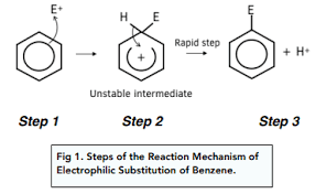 <ul><li><p>Electrons from the delocalised ring move towards the electrophile</p><ul><li><p>The arrow must come from the ring itself to the electrophile</p></li></ul></li><li><p>The ring then becomes temporarily disrupted</p></li><li><p>2 electrons are used to form a dative covalent bond with the electrophile</p><ul><li><p>The benzene ring must be shown with the opening facing the place where the electrophile was added and with a positive charge</p></li></ul></li><li><p>The C-H bond breaks and the electrons move back into the benzene ring</p><ul><li><p>The arrow must go from the bond to the middle of the disrupted ring</p></li></ul></li></ul><p></p>