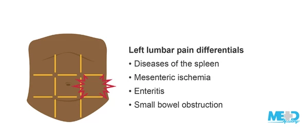 <p>containing parts of the small intestine, <span>descending colon</span>, and the left kidney</p>