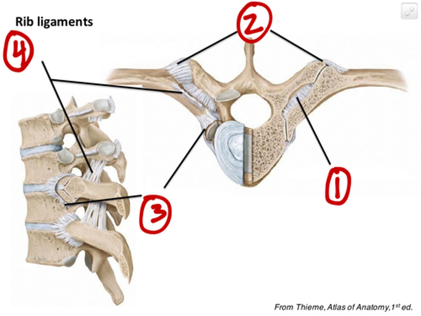 <p>1</p>