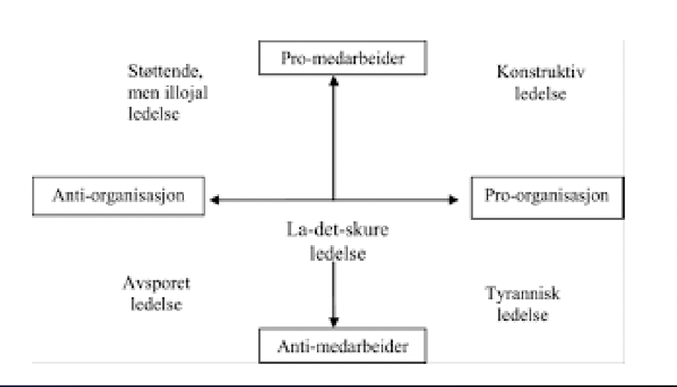 <p>Konstruktiv ledelse har bare en her. alle andre er destruktiv ledelse</p>