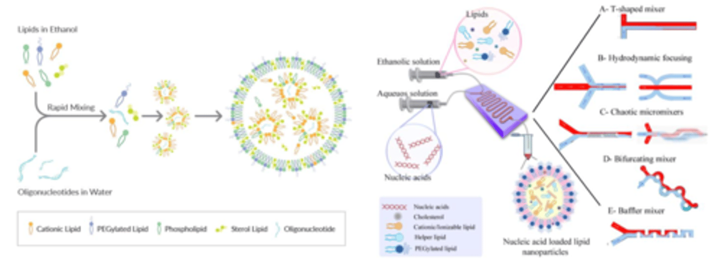 <p>1. <mark data-color="yellow" style="background-color: yellow; color: inherit;">ethanol solution containing ethanol</mark> and <mark data-color="yellow" style="background-color: yellow; color: inherit;">aqueous solution containing nucleic acids</mark> is put into microfluidic device and mixed together</p><p>2. forms nucleic acid loaded lipid nanoparticles</p>