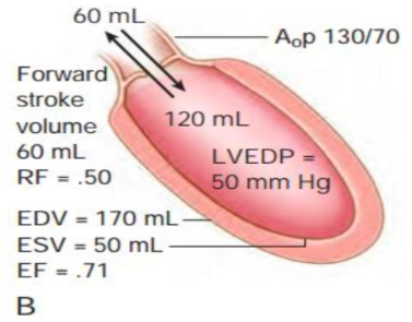 <p>what is this?</p>
