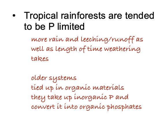 <p>A. Phosphorus is continuously lost from the ecosystem through leaching and runoff.</p><p>B. Phosphorus is gradually incorporated into soil organic matter, making it unavailable to plants.</p><p>C. Phosphorus is physically bounded to soil minerals, making it unavailable to plants.</p>