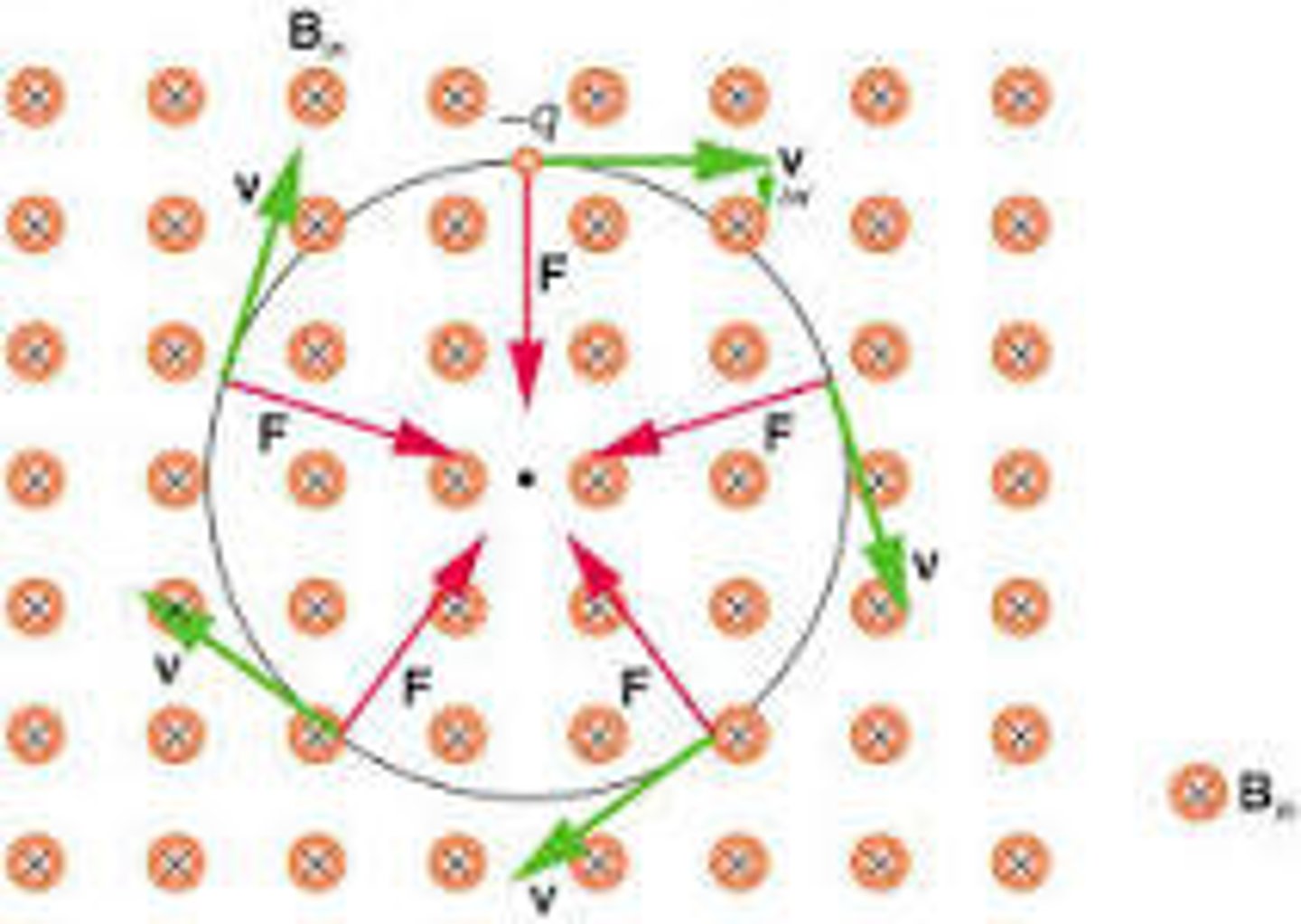 <p>When magnetic force acts on a charge, it causes it to change directions in a way that makes it go in a circle.</p>
