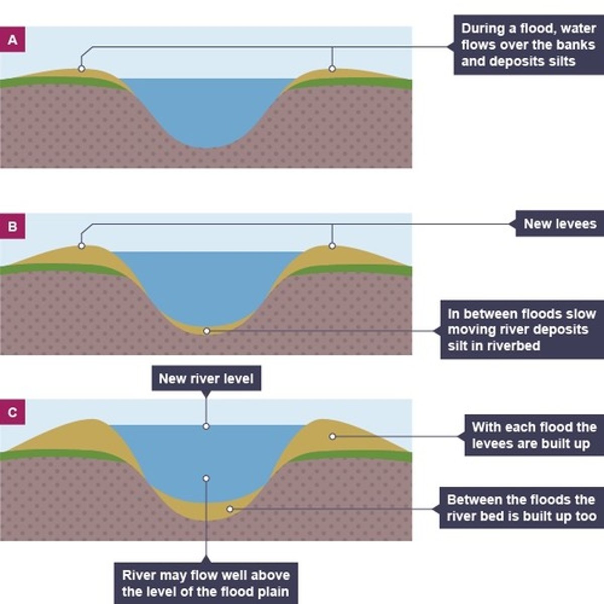 <p>. sediment is transported downstream.</p><p>. when the river floods, the sediment spreads out across the floodplain</p><p>. as the river loses energy, the largest material is deposited first on the sides of the river banks and smaller material further away</p><p>. after many floods, sediment builds up to increase the height of the river banks</p>