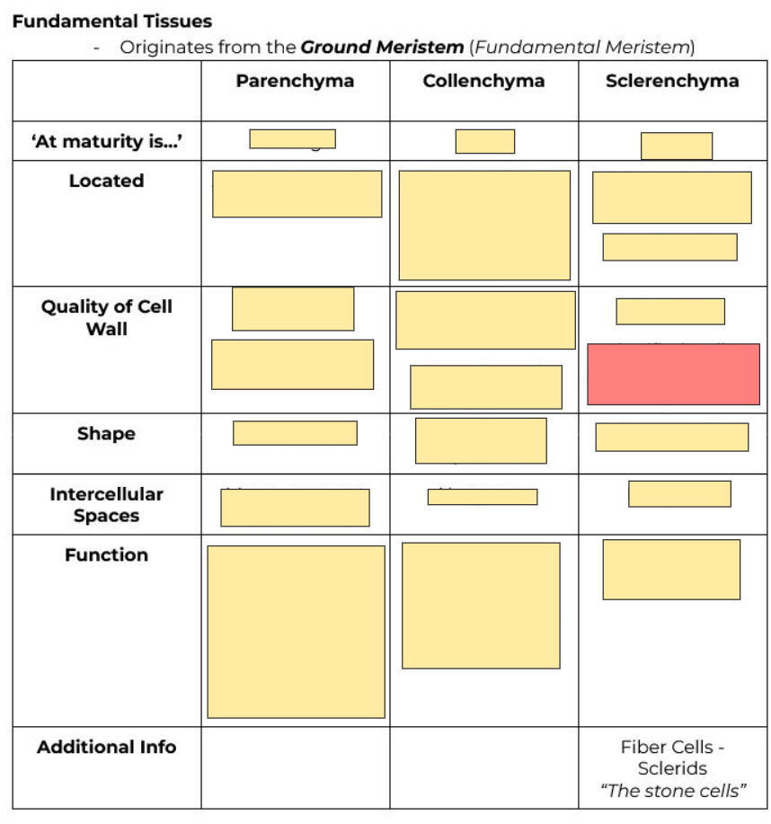 <p>Quality of cell wall?</p>