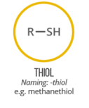 <p>Organic compound that contains sulfhydryl (SH) group</p>