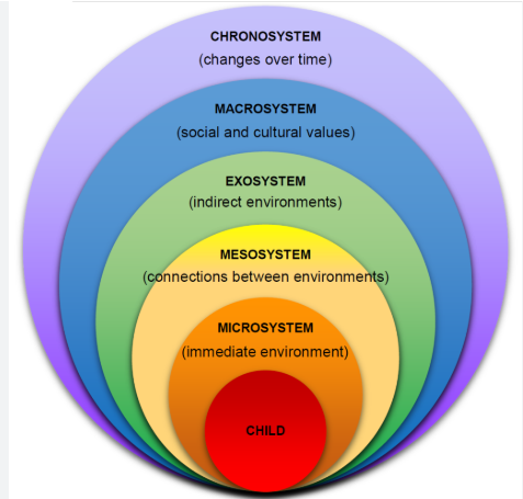 <p>explores how the social environment influences development. The five systems in this theory are: </p><p>Microsystem (groups that have direct contact with the individual) ex. friends, family, classmates, teachers</p><p>the feedback, support, and conflict that an individual experiences here have a major impact on the individual’s attitudes, beliefs, self esteem, behavior, and emotional well being</p><p>Mesosystem (the relationships between groups in the microsystem) the connections between the different people and places that are part of your daily life ex. the relationship between your parents and your friends, parents don’t approve and they may try to limit the time you have with that friend or make negative comments, which reduces the time you have with that friend, increases the tension at home, and could influence how you perceive your friends or family</p><p>Exosystem (indirect factors/influences in an individual’s life) environments or settings that an individual isn’t directly part of but still are impacted by ex. local gov cuts fund for education resulting in your district cutting funds, limiting your opportunities.You’re not part of the government or the school board but their decisions impact you ex. your parents and their workplace, they’re stressed so when they go home they are negative to you</p><p>Macrosystem(cultural events that affect the individuals and others around them) the big picture system, includes society, societal values, laws, customs, and cultural beliefs</p><p>influences all of the other systems, the cultural values of the society that an individual is part of end up shaping the different institutions and people in the previous systems</p><p>Chronosystem (the individual’s current stage of life). More abstract as it deals with time, specifically with the changes that occur throughout an individual’s life and the timeframe in which an individual lives in ex. parents getting divorced would change a person’s family dynamics ex. life transitions like middle school to high school put individuals in new environments and change their their social dynamics and influence their friendships and opportunities</p>