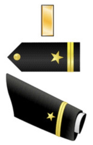 <p>1 Gold bar, 1/2" Gold Stripe</p>