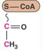 <p>what molecule is this?</p>