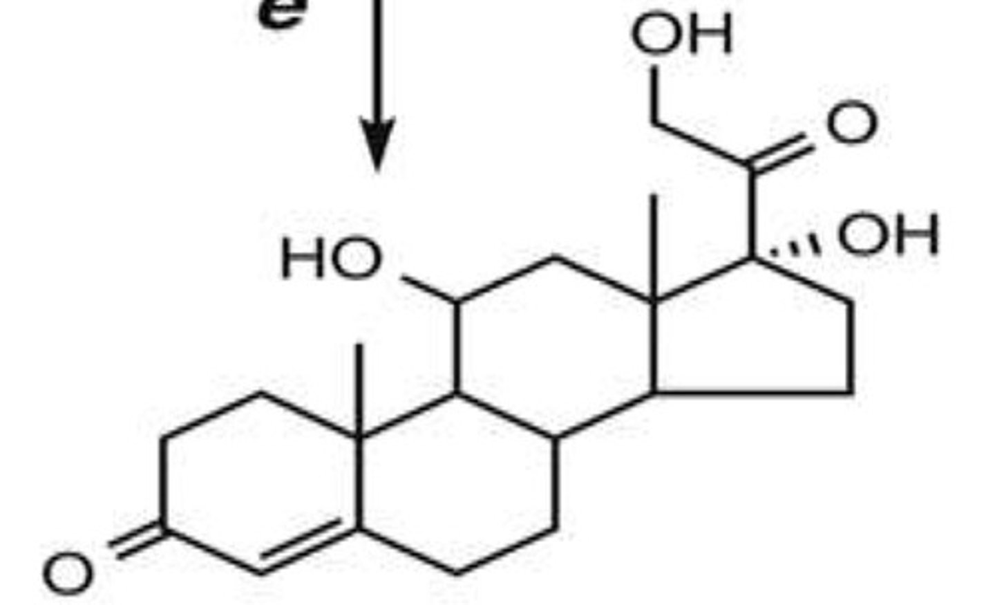 <p>What is this structure and what path is it made by</p>