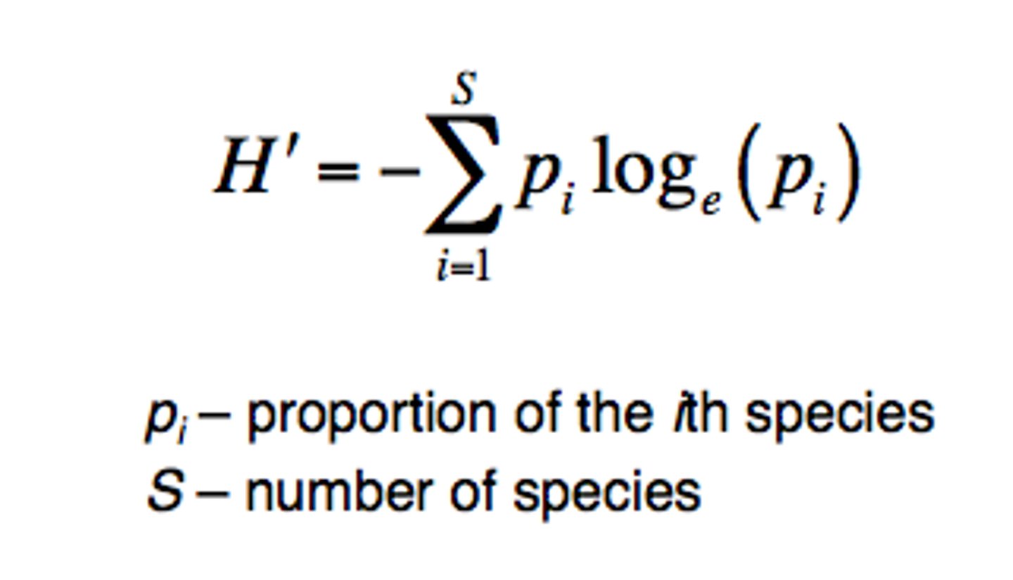 <p>measure of species diversity (kinda just taking proportions of each species within a community, higher values mean higher diversity) (rank abundance curve plots species abundance, grouped by community, and therefore richness and evenness too...species accumulation curves are a function of this and can simplify)</p>