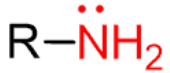 <p>N bonded to C</p>