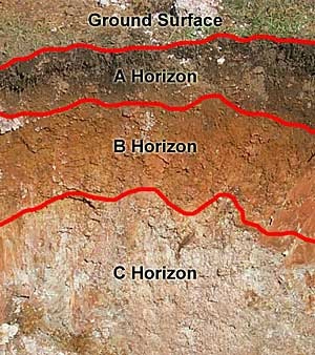 <p>Heavy with aluminium and iron, leading to highly acidic soil. This soil has clearly defined horizons</p>