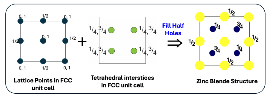 <p>S<sup>2-</sup> ions in CCP lattice</p><p>half tetrahedral holes filled with Zn<sup>2+</sup> ions</p><ul><li><p>fill diagonal quarters then opposite diagonal ¾ </p></li></ul><p></p>