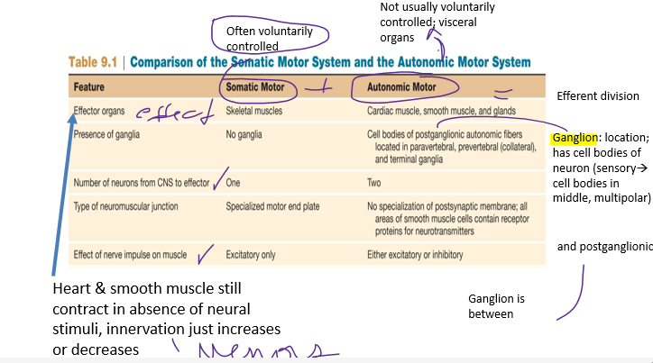 <p>(8) compare and contrast the somatic and autonomic divisions of the PNS.</p><p>__________:</p><p>Innervate organs whose functions are not normally voluntarily controlled</p><p>Subdivisions: Parasympathetic, Sympathetic, Enteric (convergence &amp; divergence</p>