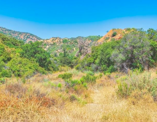 High productivity, Low decomposition.
