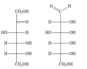 <p>Determine the type of isomerism:</p>