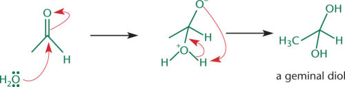 <p>Formed from hydration reactions with aldehydes and ketones</p>