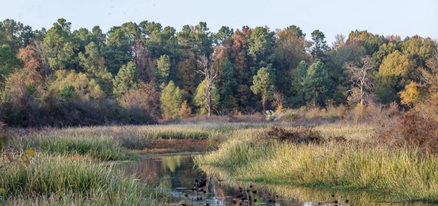 <p>extends along the Mississippi river from the confluence of the Ohio river and Mississippi river southward to the Gulf of Mexico. The ecoregion provides important habitats for fish and wildlife and includes the largest continuous system of wetlands in North America. It is also a major bird migration corridor used in fall and spring migrations, known as the Mississippial natural vege flyway. Potentitation is largely southern floodplain forest.</p>