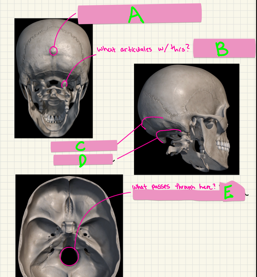 <p>What’s A-E?</p>