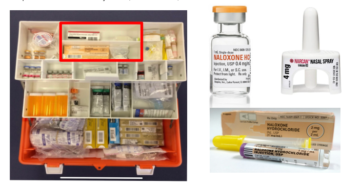 <p>Naloxone (Narcan)</p>