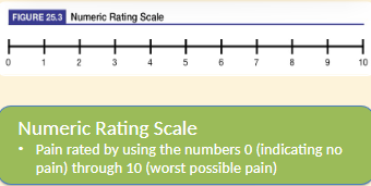 Scale 2